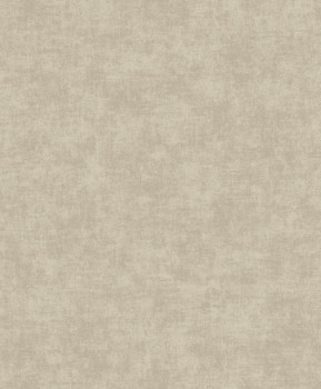 Grey-beige wallpaper, A53704, Vavex 2025