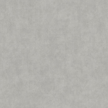 Grey-brown stucco wallpaper, TI1005, Time 2025, Grandeco