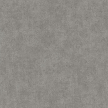 Gray stucco wallpaper, TI1007, Time 2025, Grandeco