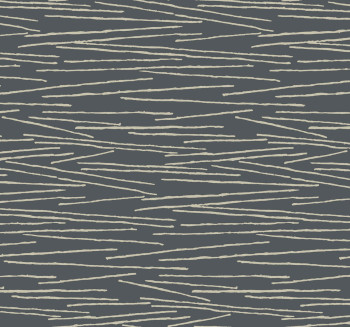 Black non-woven wallpaper, beige lines, EV3940, Candice Olson Casual Elegance, York