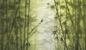 Luxury wall mural, Bamboo, Z77588, Savana, Zambaiti Parati