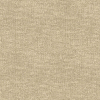 Brown-gray non-woven wallpaper, RE25123, Reflect, Decoprint