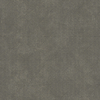 Gray-brown geometric non-woven wallpaper, A68201, Vavex 2026