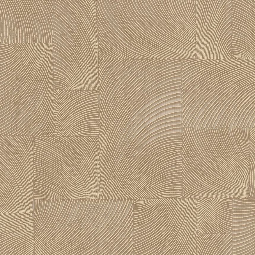 Brown-beige geometric non-woven wallpaper, A71502, Vavex 2026