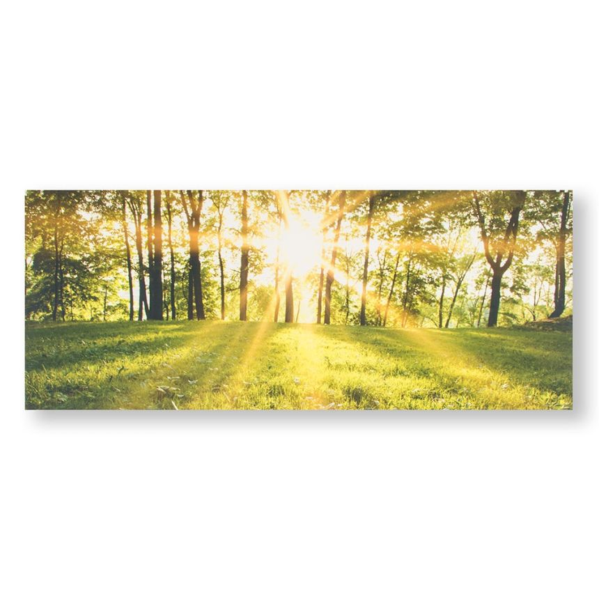 Printed canvas Forest in the Sun 105887, Tranquil Forest Fields, Wall Art, Graham & Brown