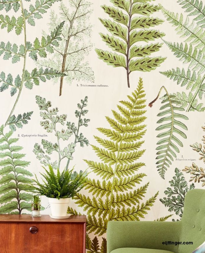 Mural wallpaper Fern leaves 366104, 309017, 232,5x280cm, Wallpower Favorites, Eijffinger