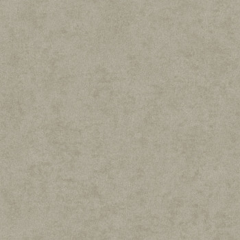Textured non-woven wallpaper gray, AF24504, Affinity, Decoprint