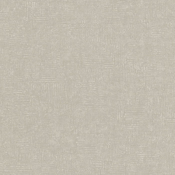 Gray, textured non-woven wallpaper A50202, Vavex 2024